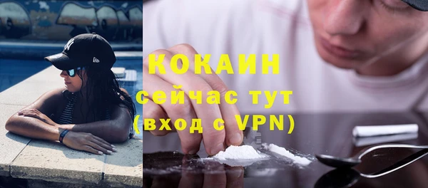 молекула духа Покачи