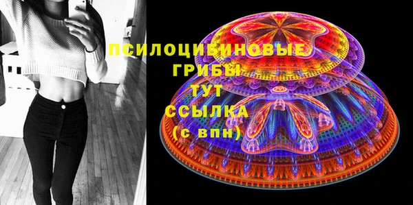 mix Бородино