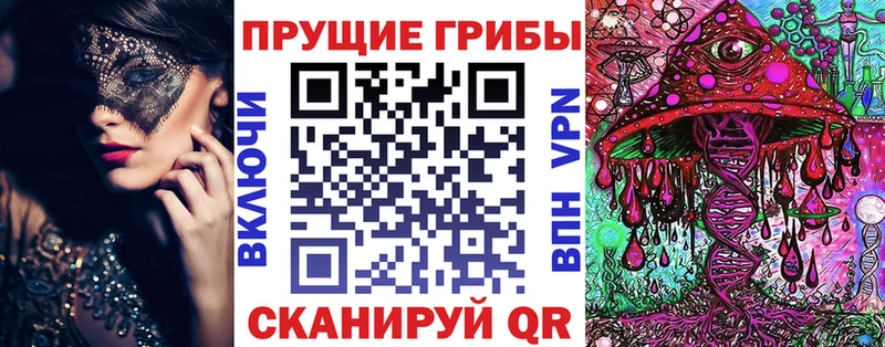 Галлюциногенные грибы Psilocybe  купить закладку  Белинский 